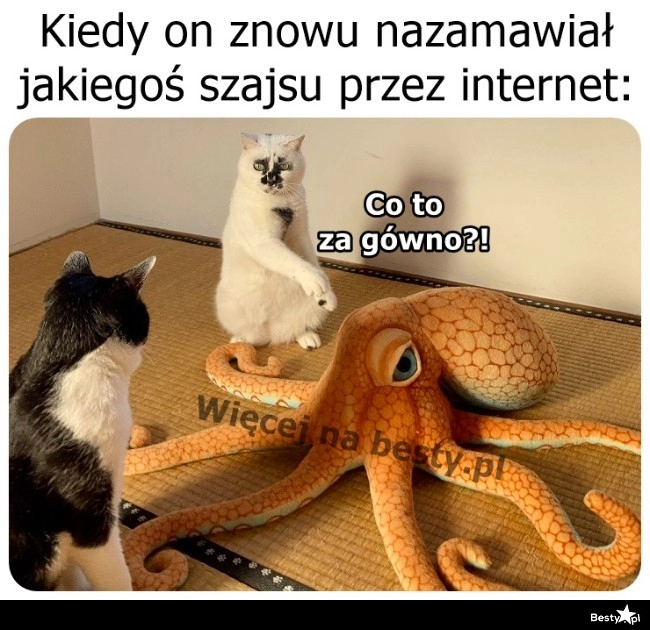 
    Możesz to wytłumaczyć? 