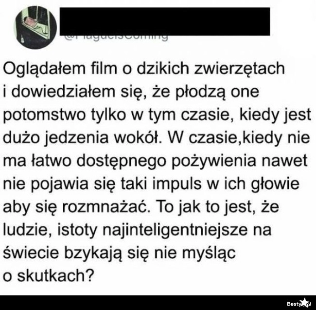 
    Film przyrodniczy 