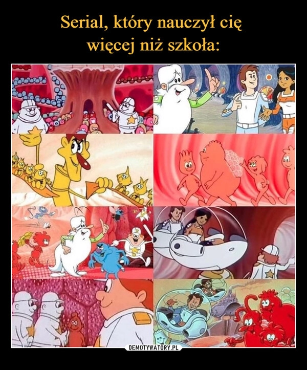 
    Serial, który nauczył cię 
więcej niż szkoła: