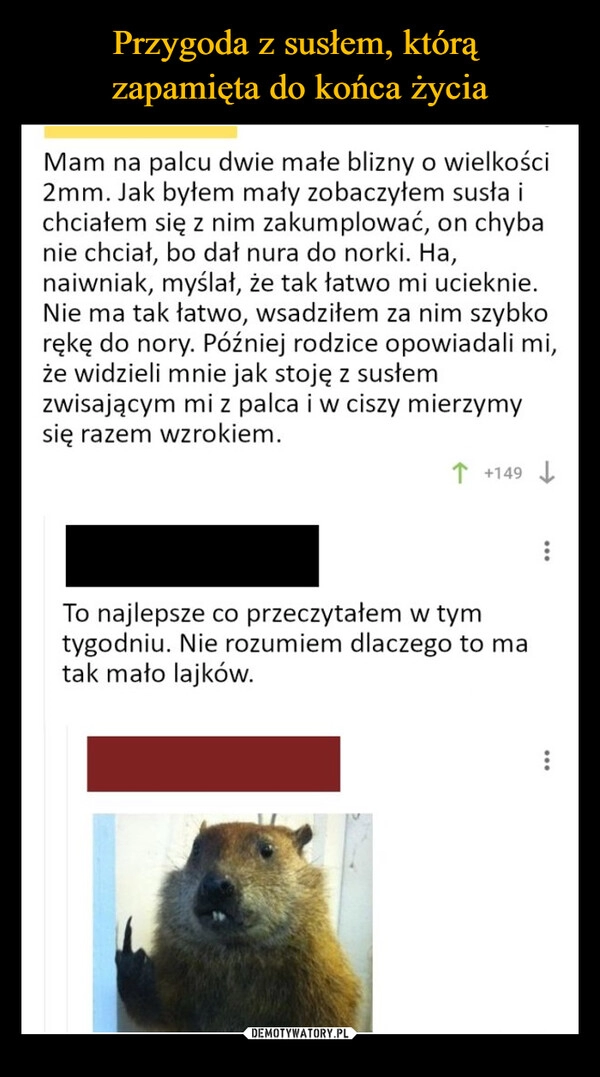 
    Przygoda z susłem, którą 
zapamięta do końca życia