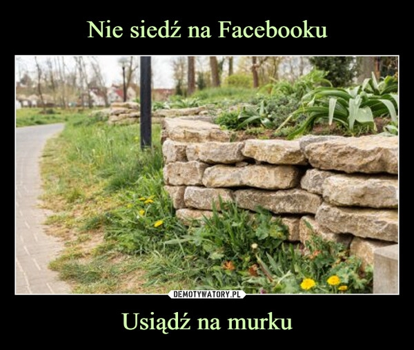 
    Nie siedź na Facebooku Usiądź na murku