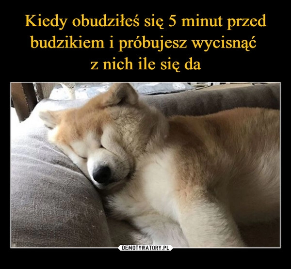 
    Kiedy obudziłeś się 5 minut przed budzikiem i próbujesz wycisnąć 
z nich ile się da