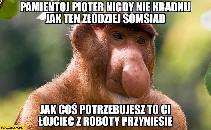 
    Pamiętaj Pioter nigdy nie kradnij jak ten złodziej sąsiad jak coś potrzebujesz to Ci ojciec z roboty przyniesie typowy Polak nosacz małpa