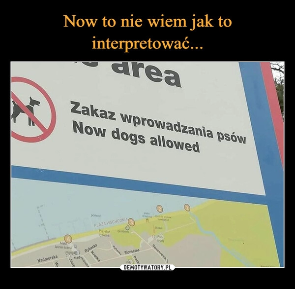 
    Now to nie wiem jak to interpretować...