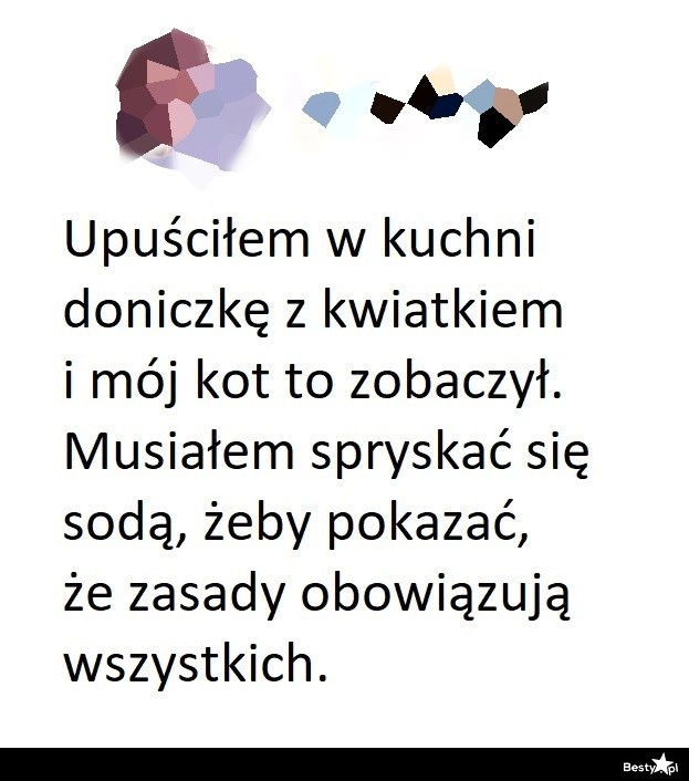 
    Doniczka z kwiatkiem 