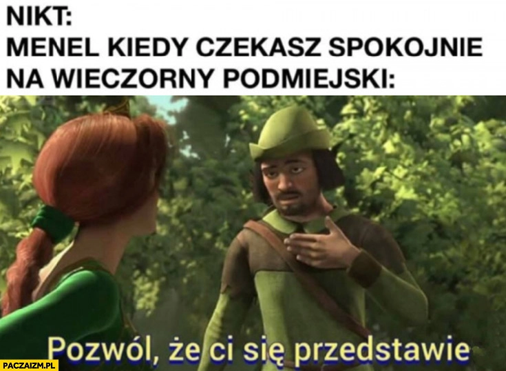 Nikt, menel kiedy czekasz spokojnie na wieczorny podmiejski: pozwól, że ci się przedstawię Shrek