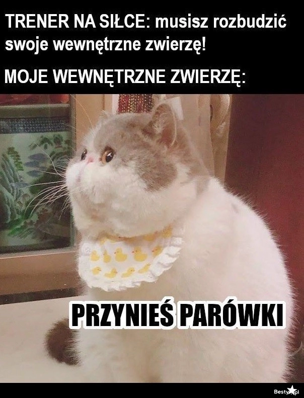 
    Wewnętrzne zwierzę 