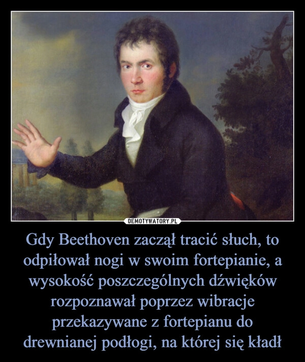 
    Gdy Beethoven zaczął tracić słuch, to odpiłował nogi w swoim fortepianie, a wysokość poszczególnych dźwięków rozpoznawał poprzez wibracje przekazywane z fortepianu do drewnianej podłogi, na której się kładł