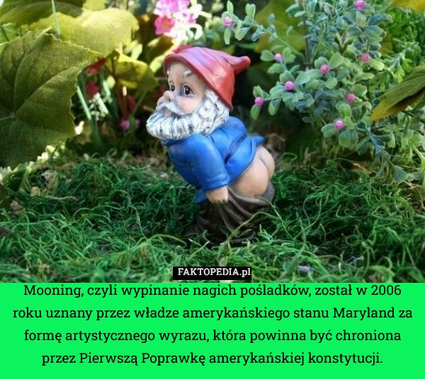 
    Mooning, czyli wypinanie nagich pośladków, został w 2006 roku uznany przez