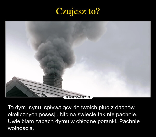 
    Czujesz to?