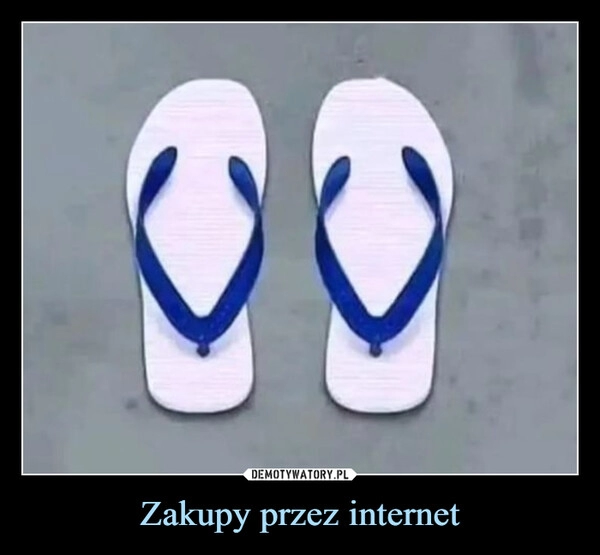 
    Zakupy przez internet