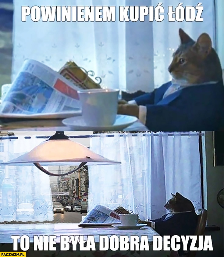 
    Powinienem kupić Łódź, to nie była dobra decyzja. Kot kupił miasto