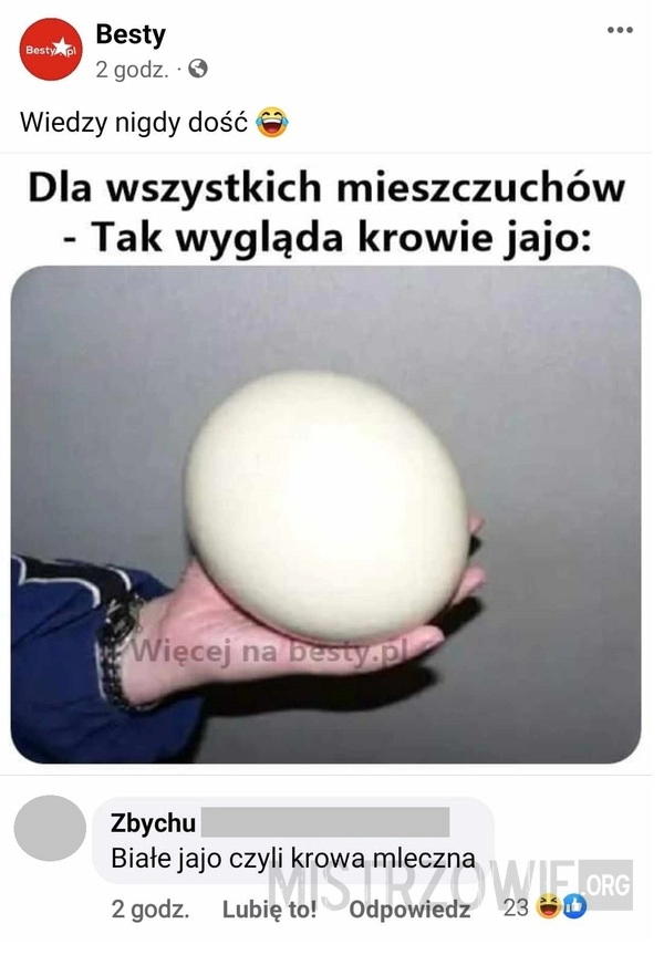 
    Krowie jajo