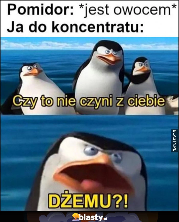 
    Pomidor: jest owocem, ja do koncentratu: czy to nie czyni z ciebie dżemu? Pinwiny Kowalski