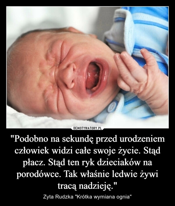 
    "Podobno na sekundę przed urodzeniem człowiek widzi całe swoje życie. Stąd płacz. Stąd ten ryk dzieciaków na porodówce. Tak właśnie ledwie żywi tracą nadzieję." 