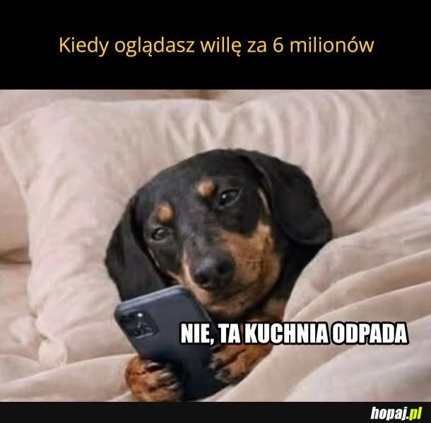 
    Gdyby nie ta kuchnia