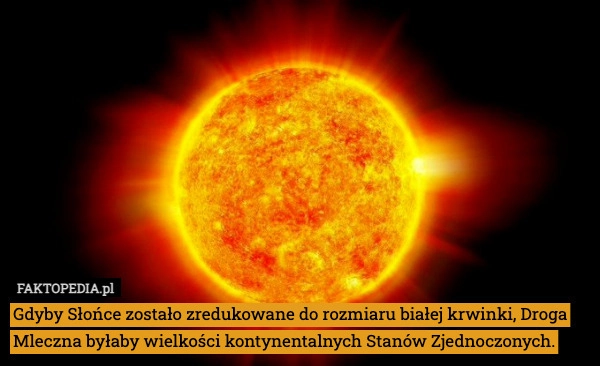 
    Gdyby Słońce zostało zredukowane do rozmiaru białej krwinki, Droga Mleczna