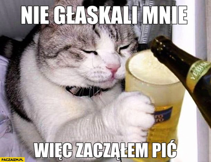 
    Nie głaskali mnie więc zacząłem pić kot