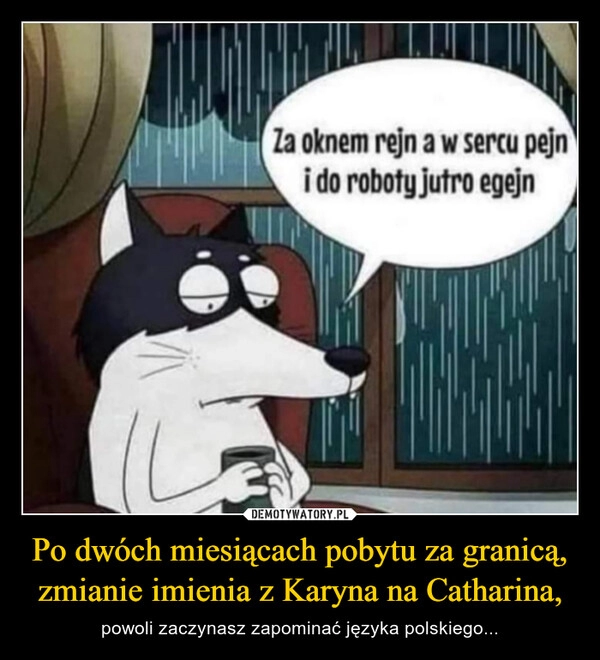 
    Po dwóch miesiącach pobytu za granicą, zmianie imienia z Karyna na Catharina,