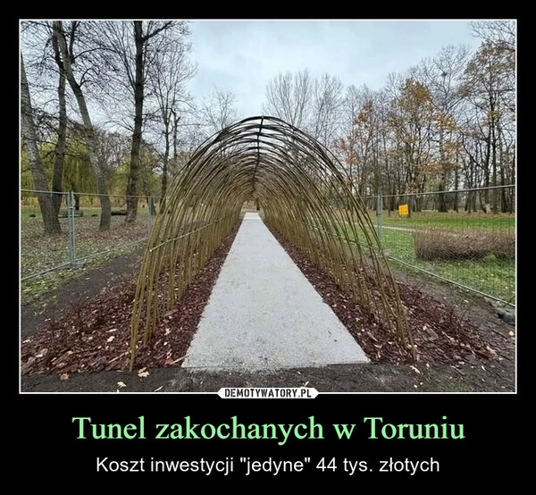 
    Tunel zakochanych w Toruniu