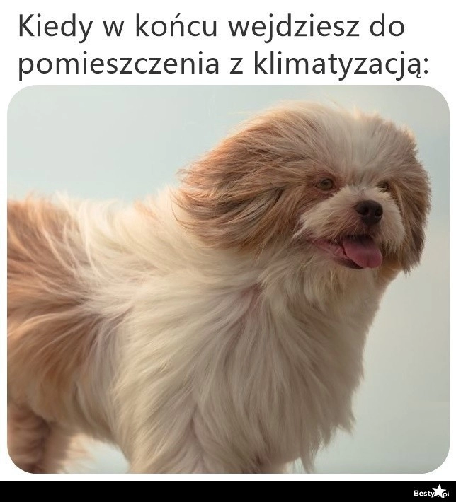 
    Co za ulga 