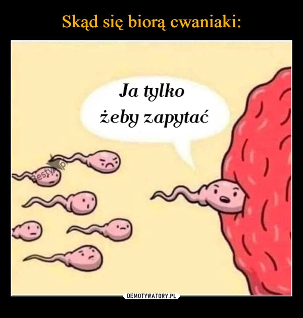 
    Skąd się biorą cwaniaki: