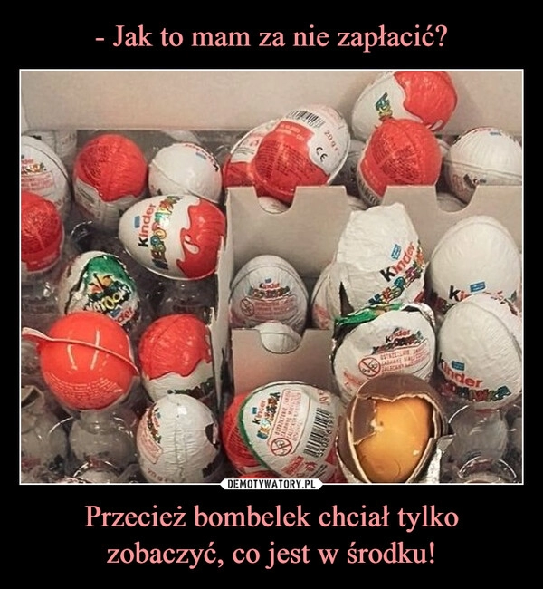 
    - Jak to mam za nie zapłacić? Przecież bombelek chciał tylko zobaczyć, co jest w środku!