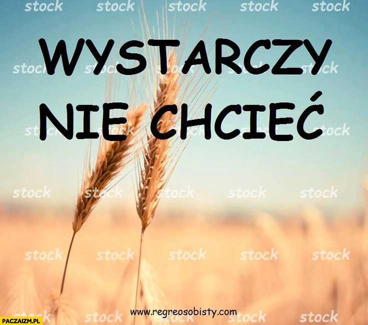 
    Wystarczy nie chcieć. Regres osobisty