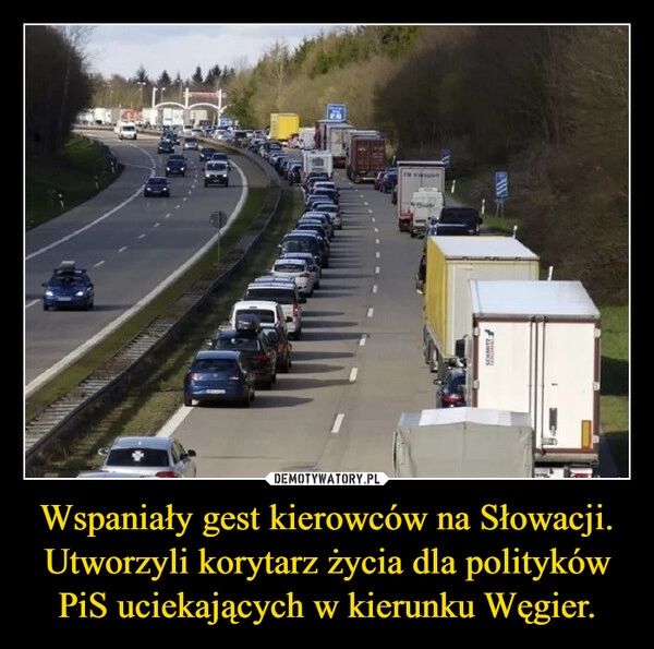 
    Wspaniały gest kierowców na Słowacji. Utworzyli korytarz życia dla polityków PiS uciekających w kierunku Węgier.