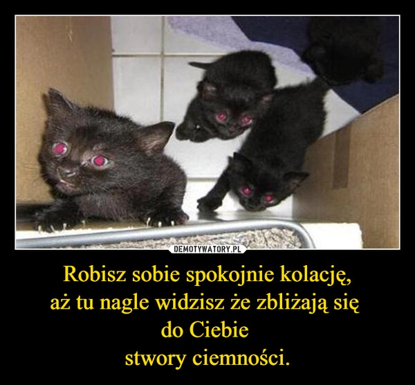 
    Robisz sobie spokojnie kolację,
aż tu nagle widzisz że zbliżają się 
do Ciebie 
stwory ciemności.