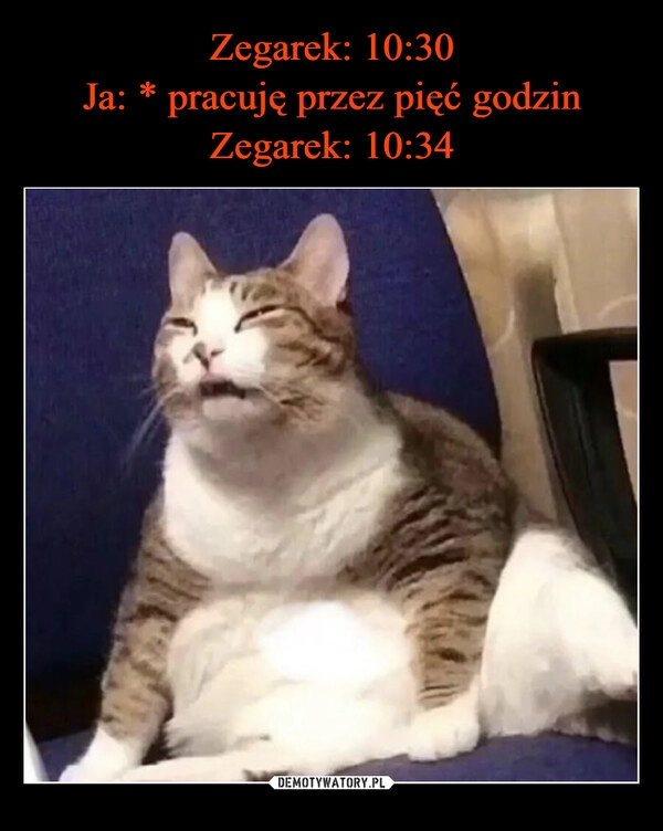 
    Zegarek: 10:30
Ja: * pracuję przez pięć godzin
Zegarek: 10:34