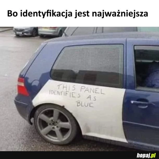 
    Identyfikacja