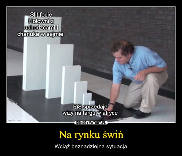 
    Na rynku świń