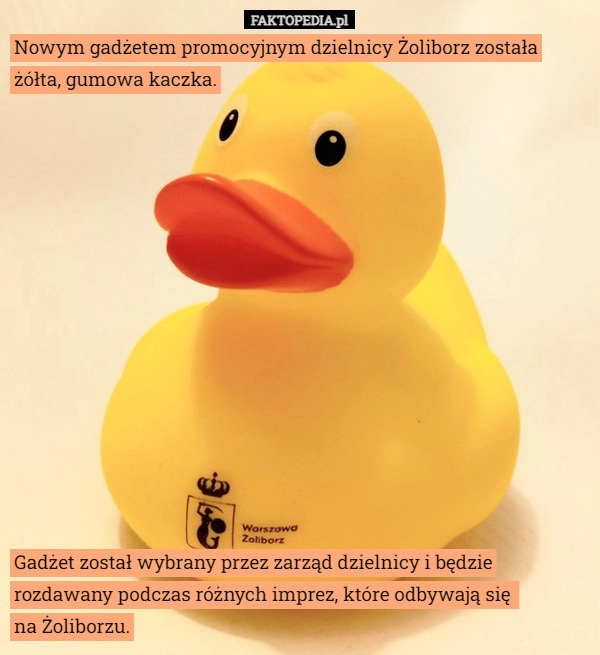 
    Nowym gadżetem promocyjnym dzielnicy Żoliborz została żółta, gumowa kaczka.