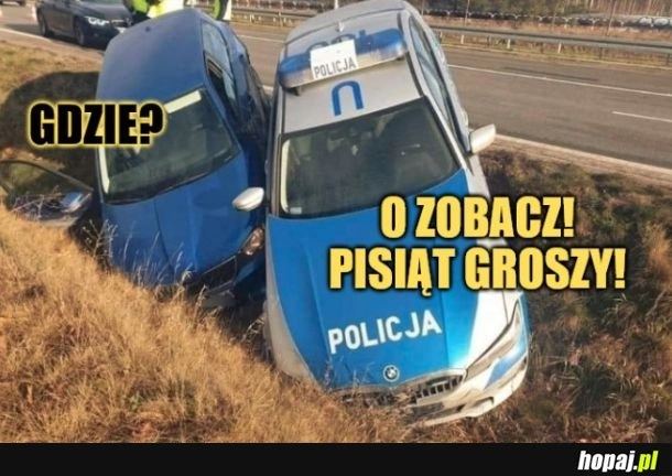 
    Pisiąt groszy.