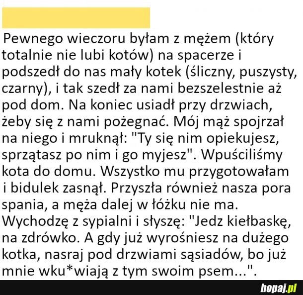 
    Nowy domownik