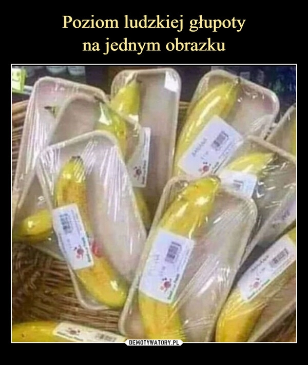 
    Poziom ludzkiej głupoty
na jednym obrazku