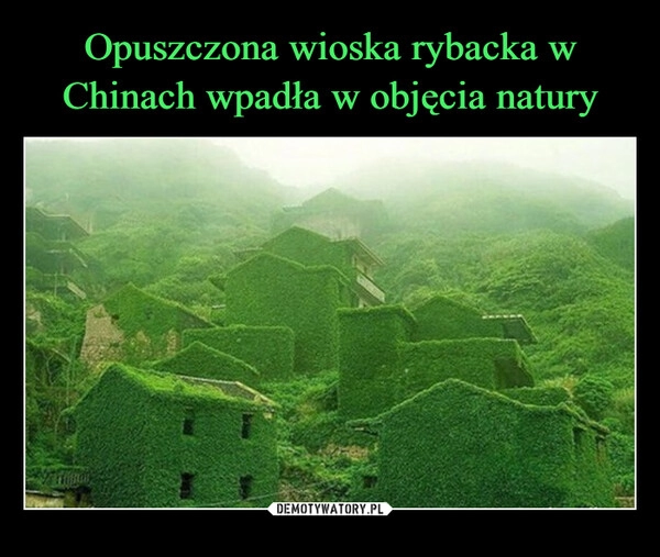 
    Opuszczona wioska rybacka w Chinach wpadła w objęcia natury