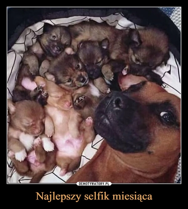 
    Najlepszy selfik miesiąca