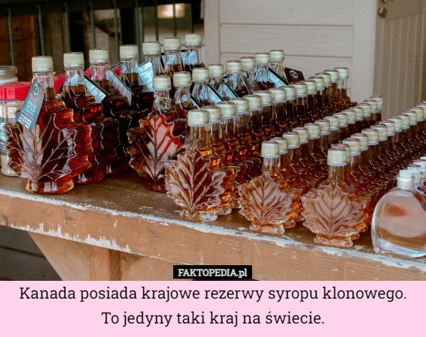 
    Kanada posiada krajowe rezerwy syropu klonowego. To jedyny taki kraj na