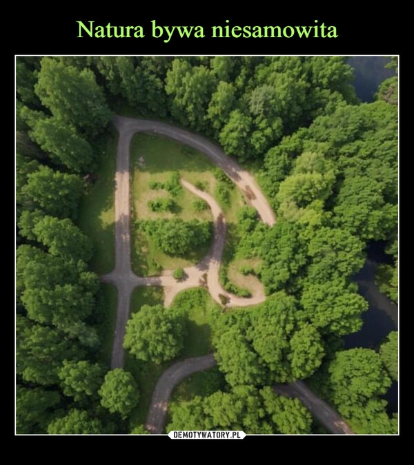 
    Natura bywa niesamowita