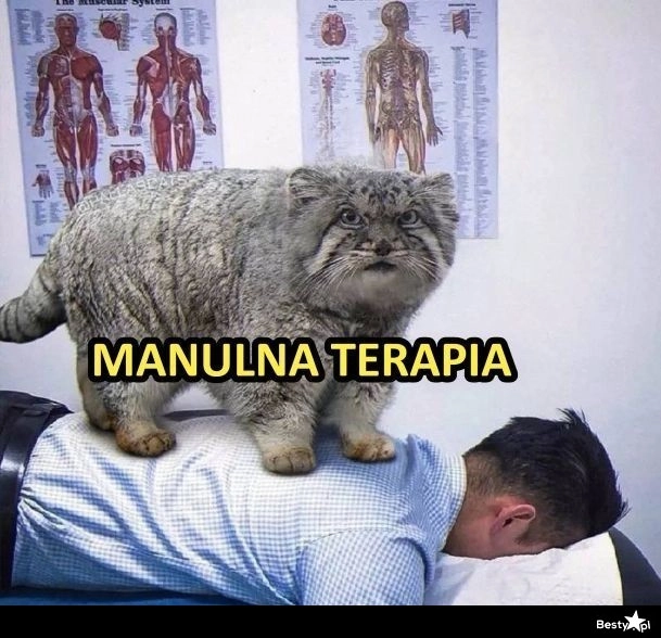 
    Manulna terapia 