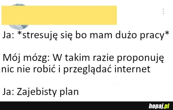 
    Świetny plan