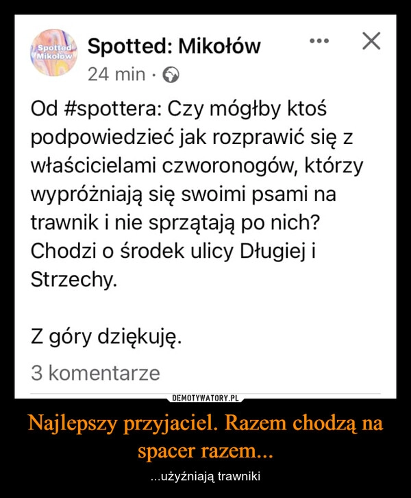 
    Najlepszy przyjaciel. Razem chodzą na spacer razem...