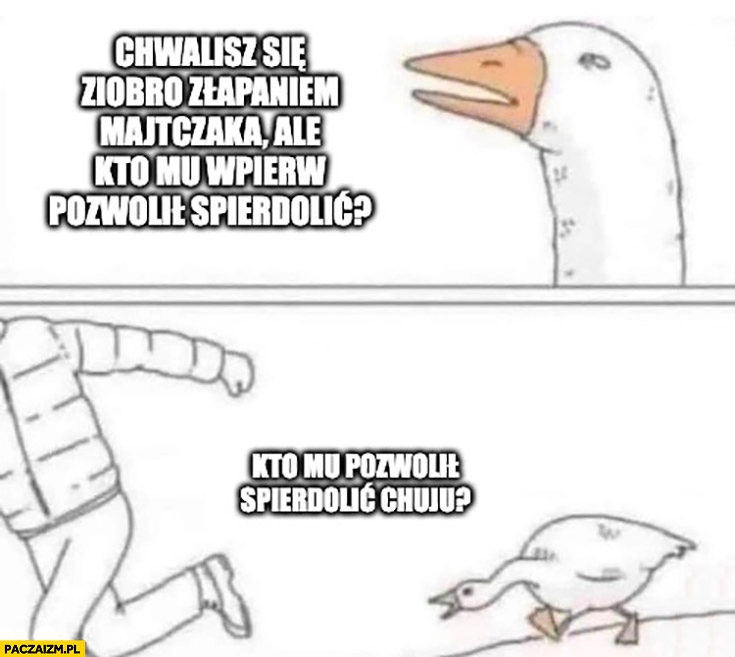 
    Gęś kaczka chwalisz się Ziobro złapaniem Majtczaka ale kto mu wpierw pozwolił uciec?