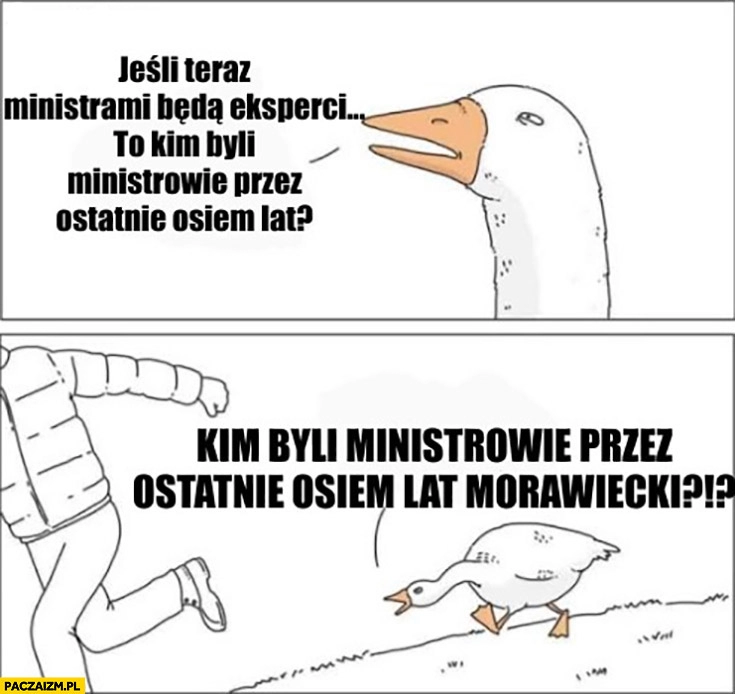 
    Gęś jeśli teraz ministrami będą eksperci to kim byli ministrowie przez ostatnie 8 lat Morawiecki?