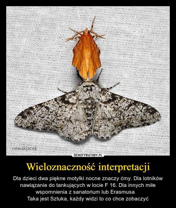 
    Wieloznaczność interpretacji