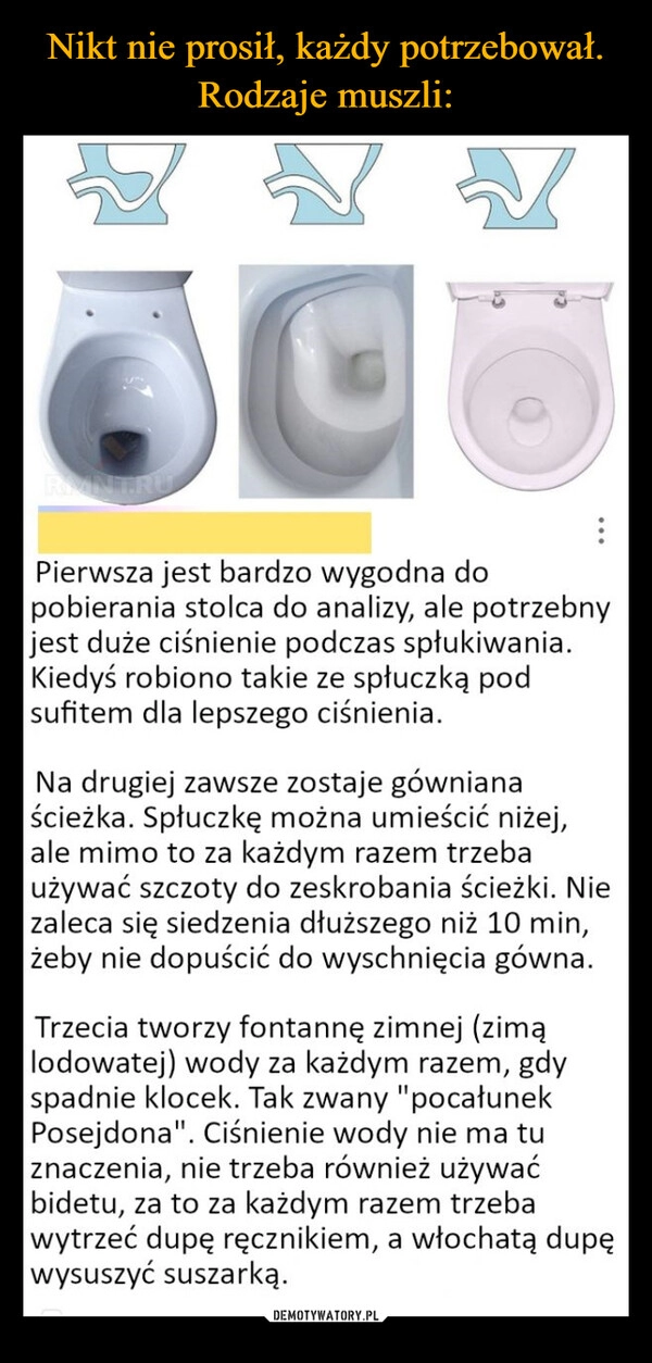 
    Nikt nie prosił, każdy potrzebował. Rodzaje muszli: