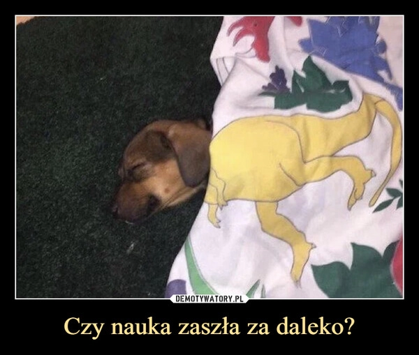 
    Czy nauka zaszła za daleko?