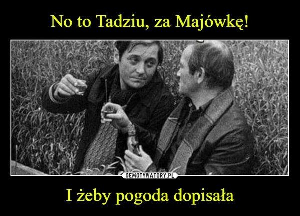 
    No to Tadziu, za Majówkę! I żeby pogoda dopisała